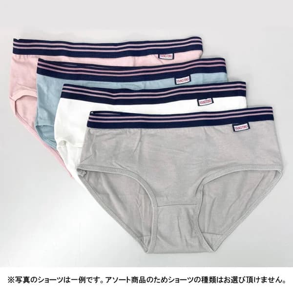 Sakura Miyajima Panty Collection