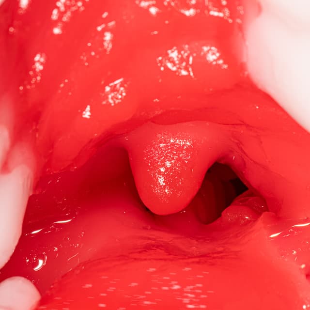 Geki Fera Deepthroat Tsubasa Hachino