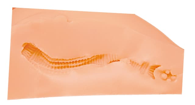 Sleeping Bag Floor